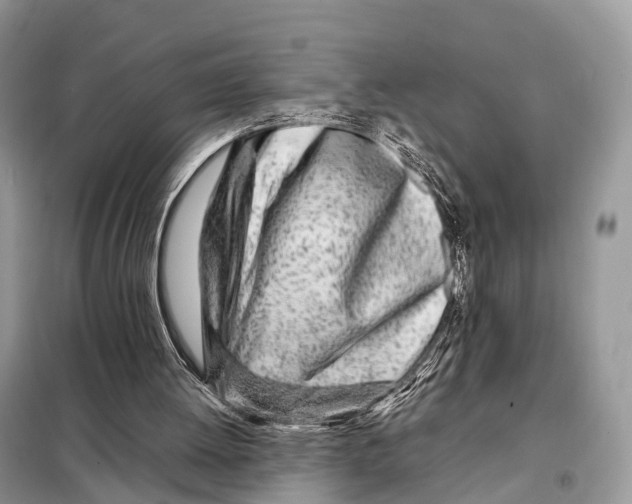 X0000098120052200805021206