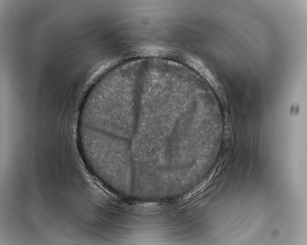 X0000098120058200805021206