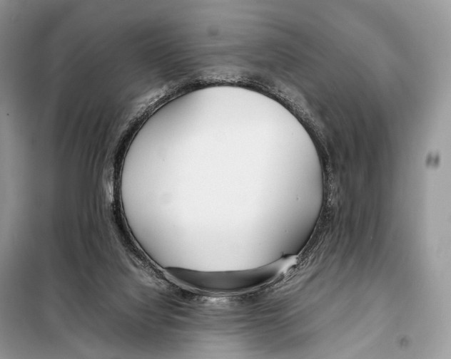 X0000098120068200805021206