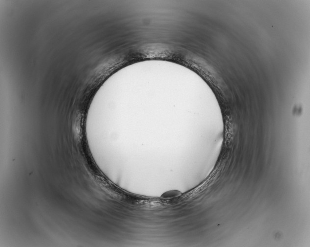 X0000098120074200805021206