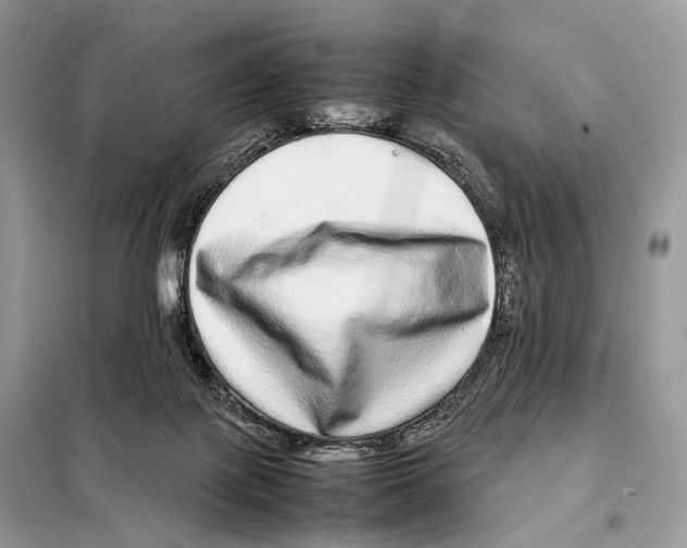 X0000098120075200805021206