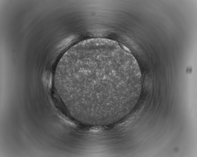 X0000098120076200805021206