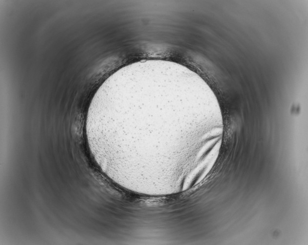 X0000098120078200805021207