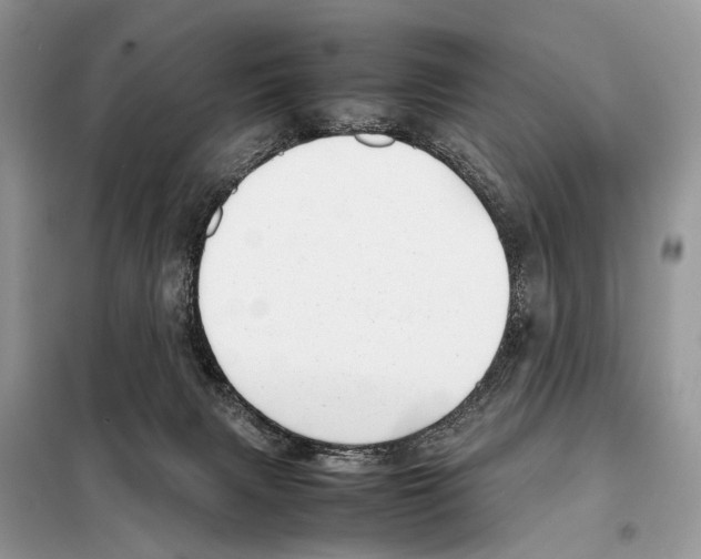 X0000098120079200805021207