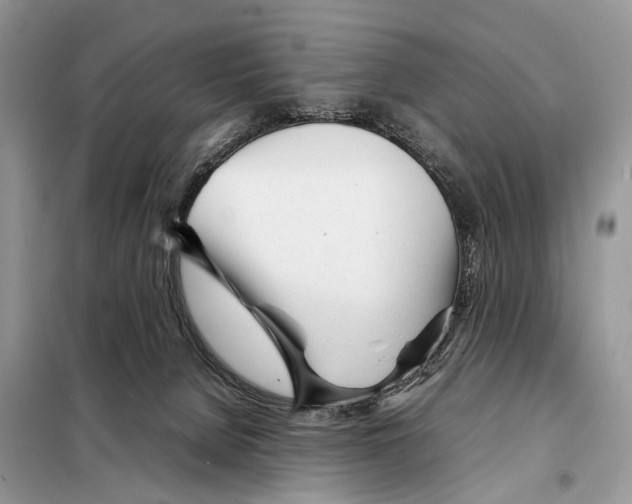 X0000098120080200805021207