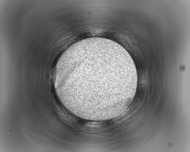 X0000098120082200805021207