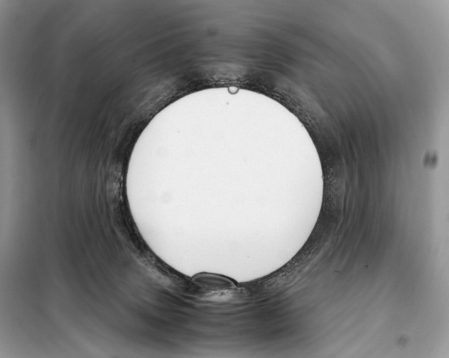 X0000098120083200805021207