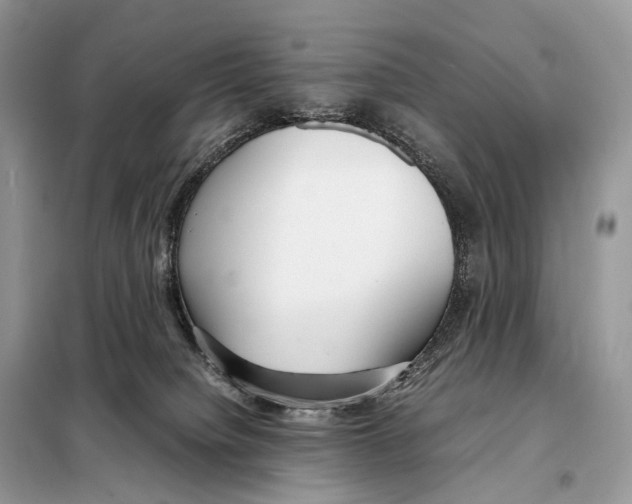 X0000098120084200805021207