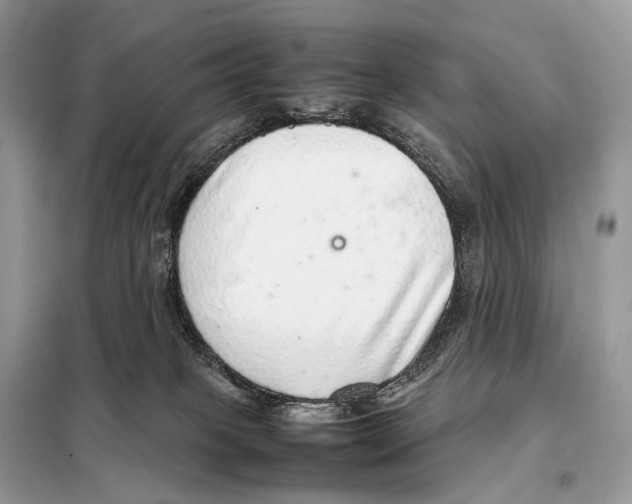 X0000098120085200805021207