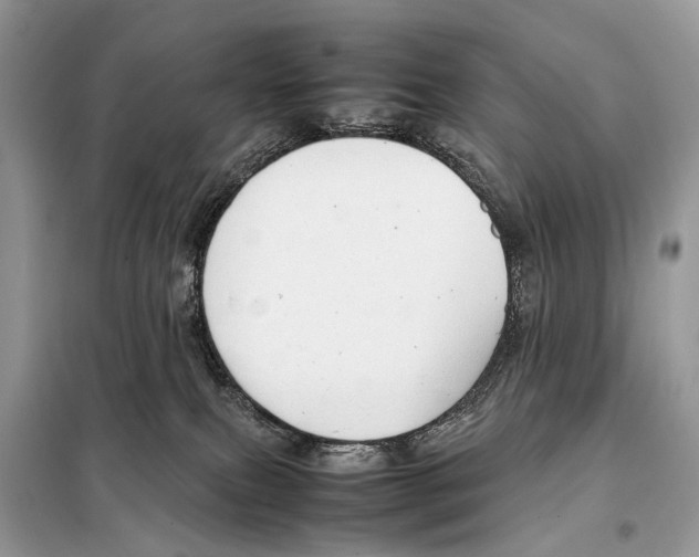 X0000098120087200805021207