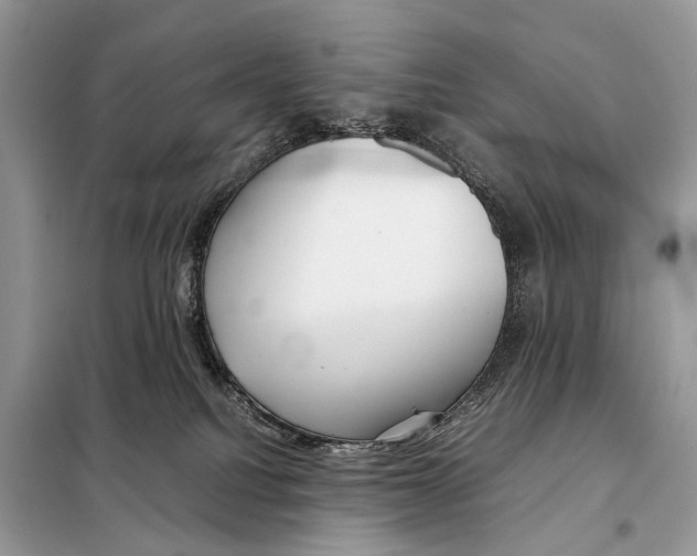 X0000098120088200805021207