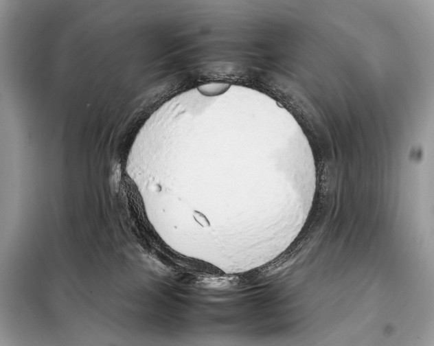 X0000098120089200805021207