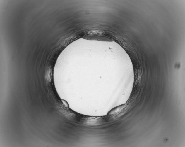 X0000098120090200805021207