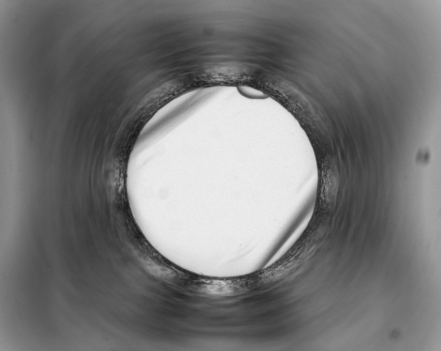 X0000098120091200805021207