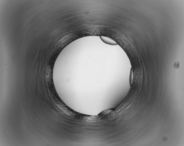 X0000098120092200805021207