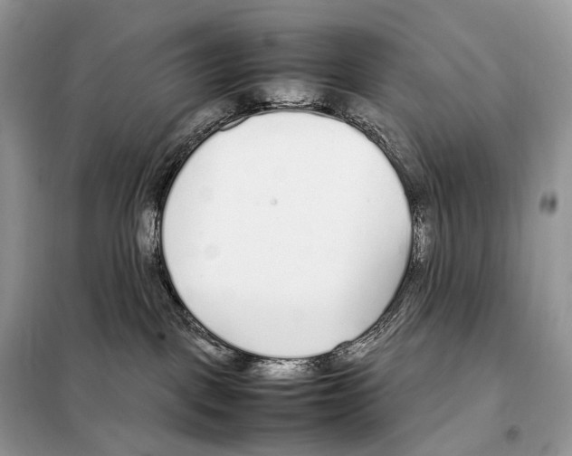 X0000098120093200805021207