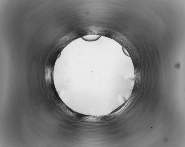 X0000098120094200805021207