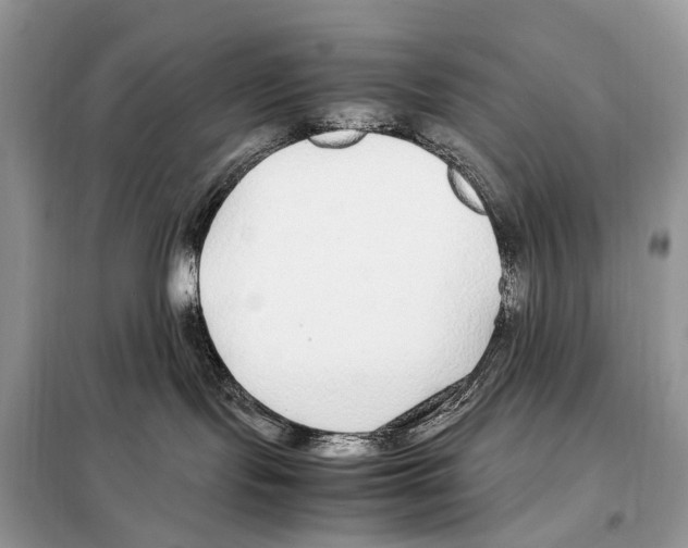 X0000098120095200805021207