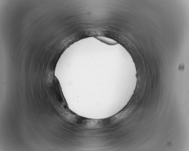 X0000098120096200805021207