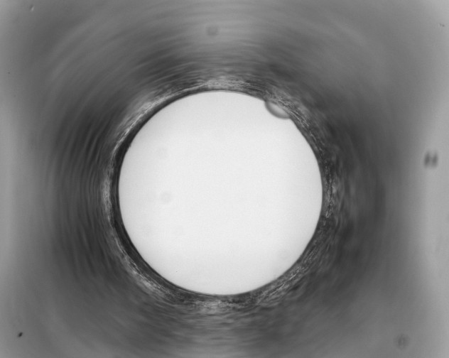 X0000098120098200805021206