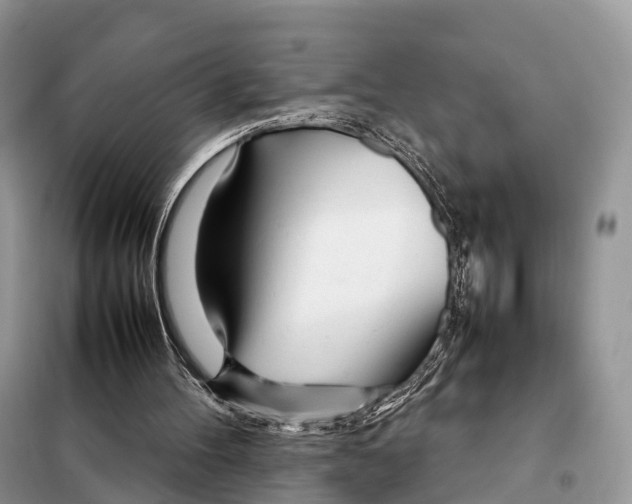 X0000098120100200805021206