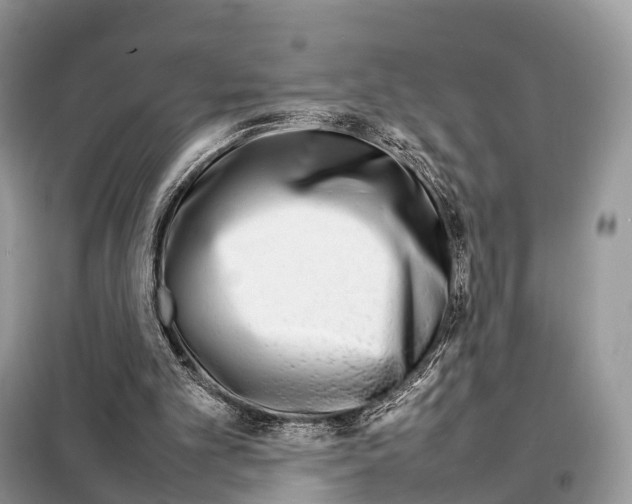 X0000098120101200805021206