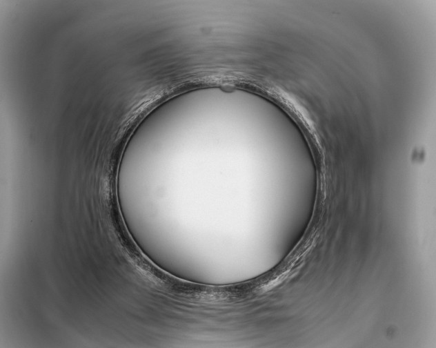 X0000098120105200805021206