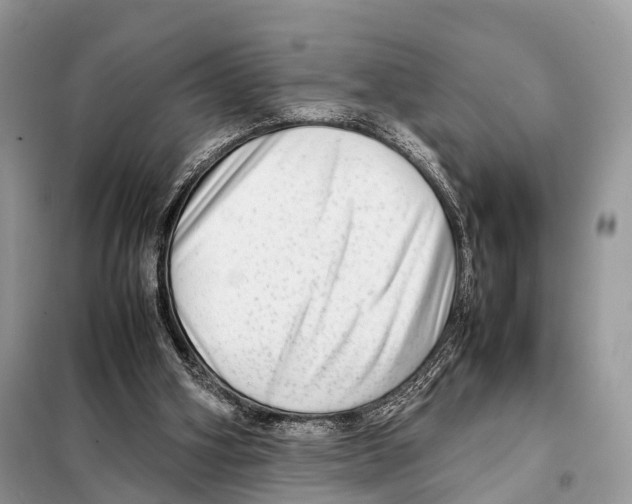 X0000098120106200805021206