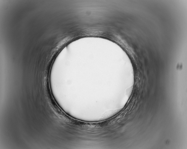 X0000098120107200805021206