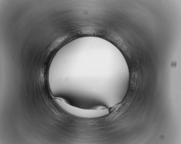 X0000098120116200805021206