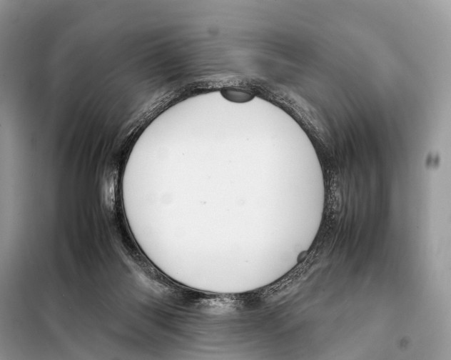 X0000098120118200805021206