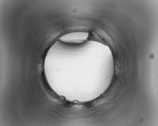 X0000098120119200805021206