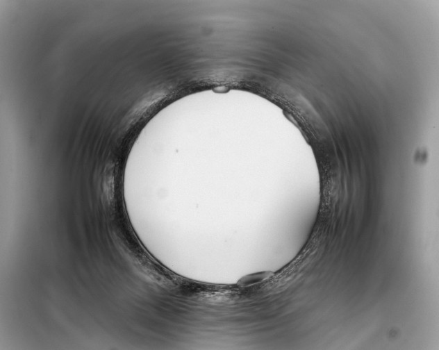 X0000098120120200805021206