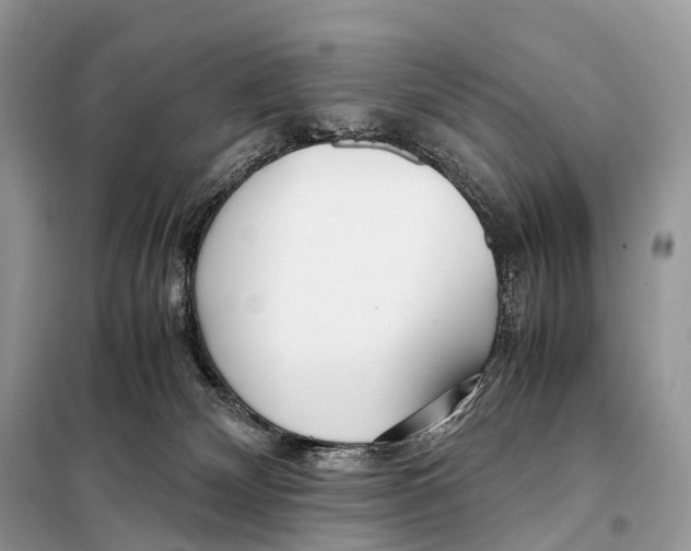 X0000098120132200805021206