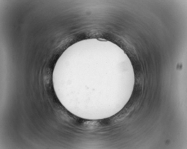 X0000098120133200805021206