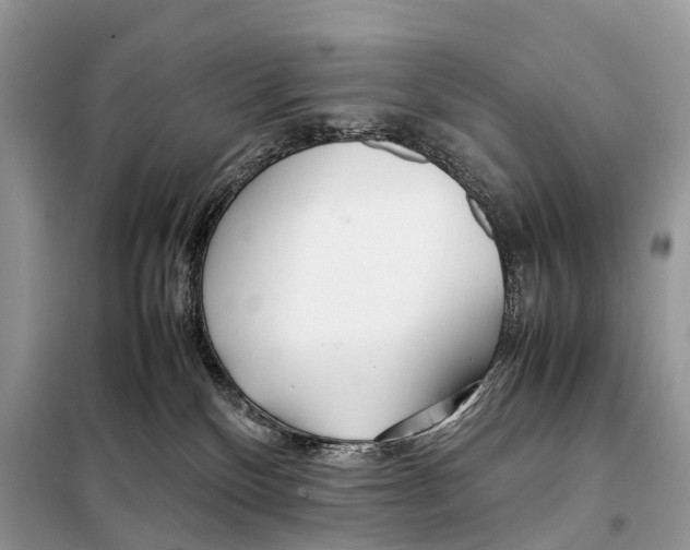 X0000098120136200805021205