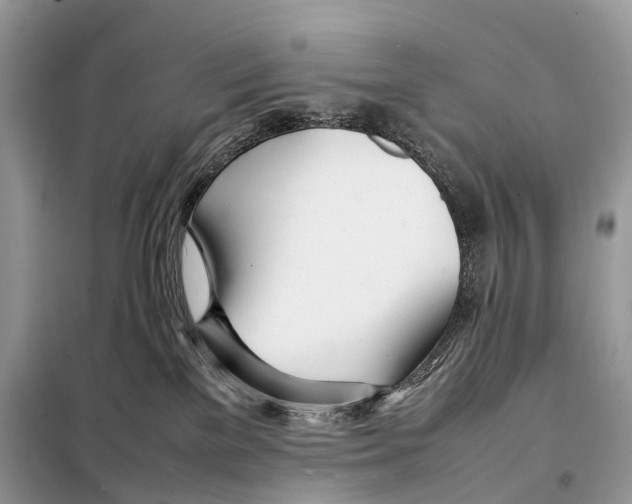 X0000098120137200805021205