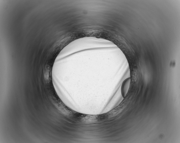 X0000098120138200805021205