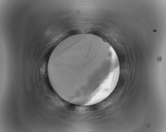 X0000098120139200805021205