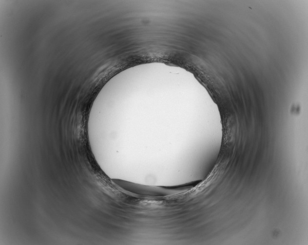 X0000098120140200805021205