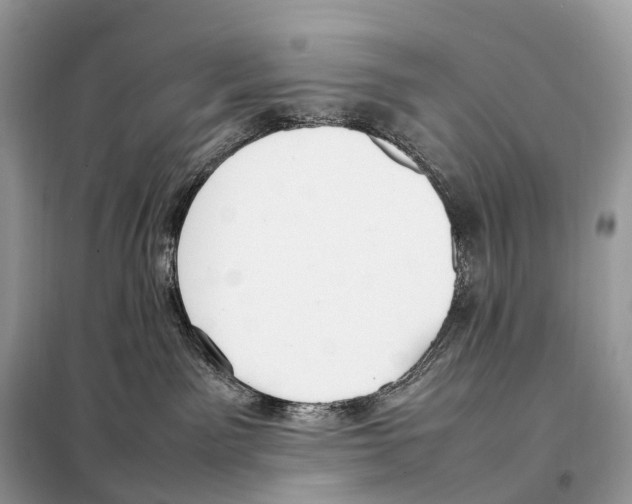 X0000098120141200805021205