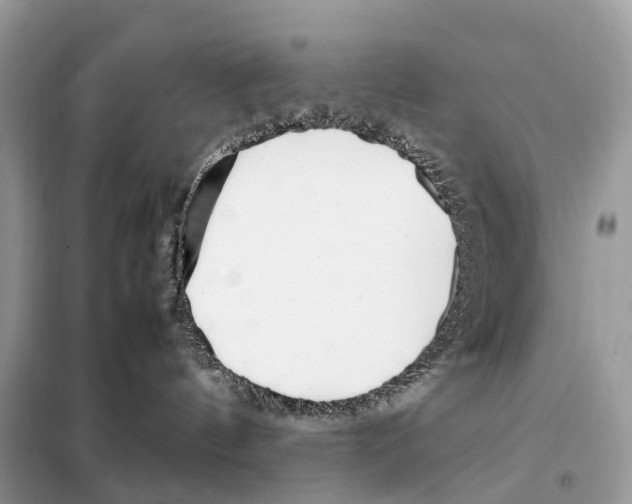 X0000098120144200805021205