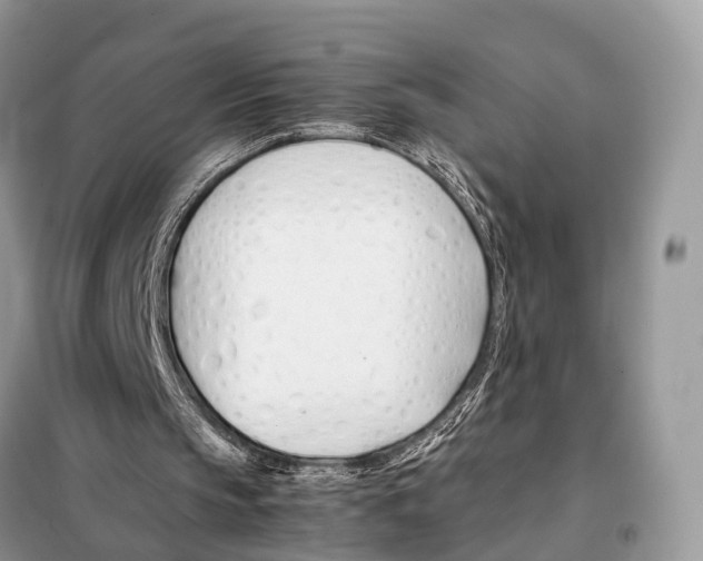 X0000098120145200805021205