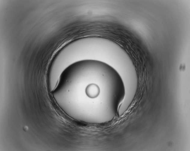 X0000098120146200805021205