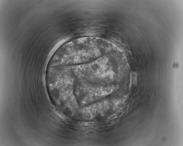 X0000098120147200805021205