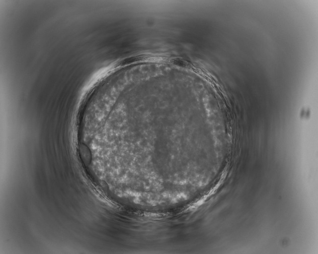 X0000098120149200805021205