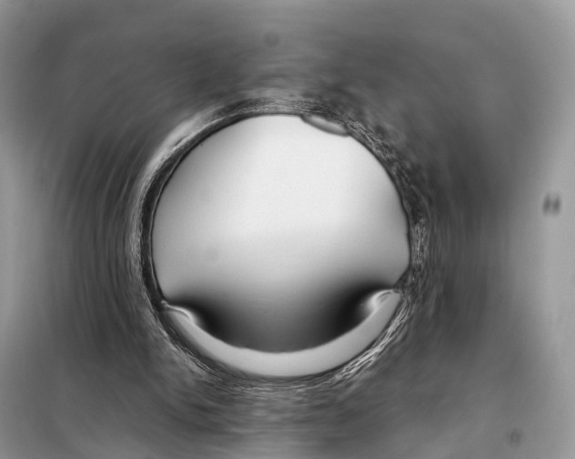 X0000098120150200805021205