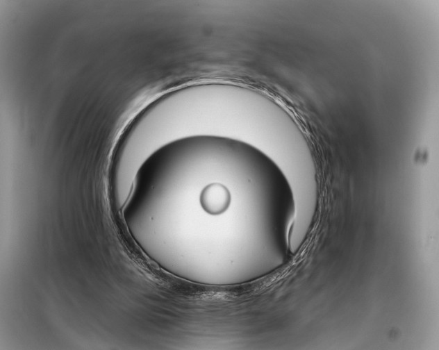 X0000098120152200805021205