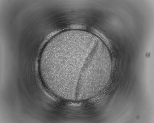 X0000098120155200805021205