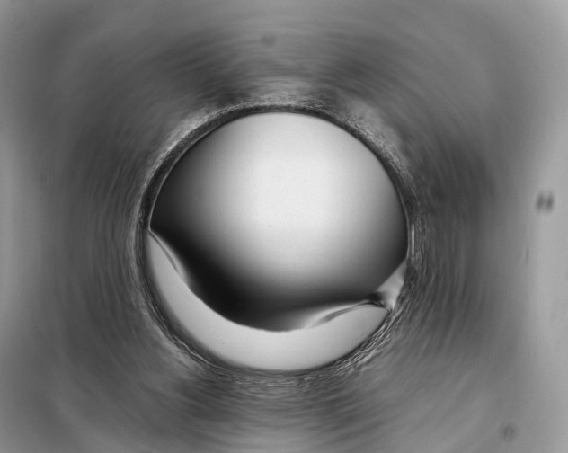 X0000098120156200805021205